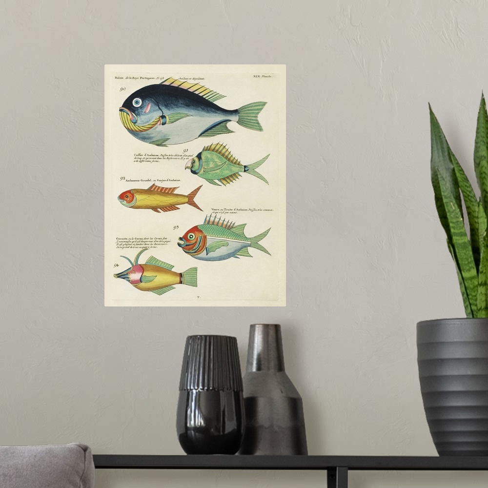 A modern room featuring Renard Tropical Fish I