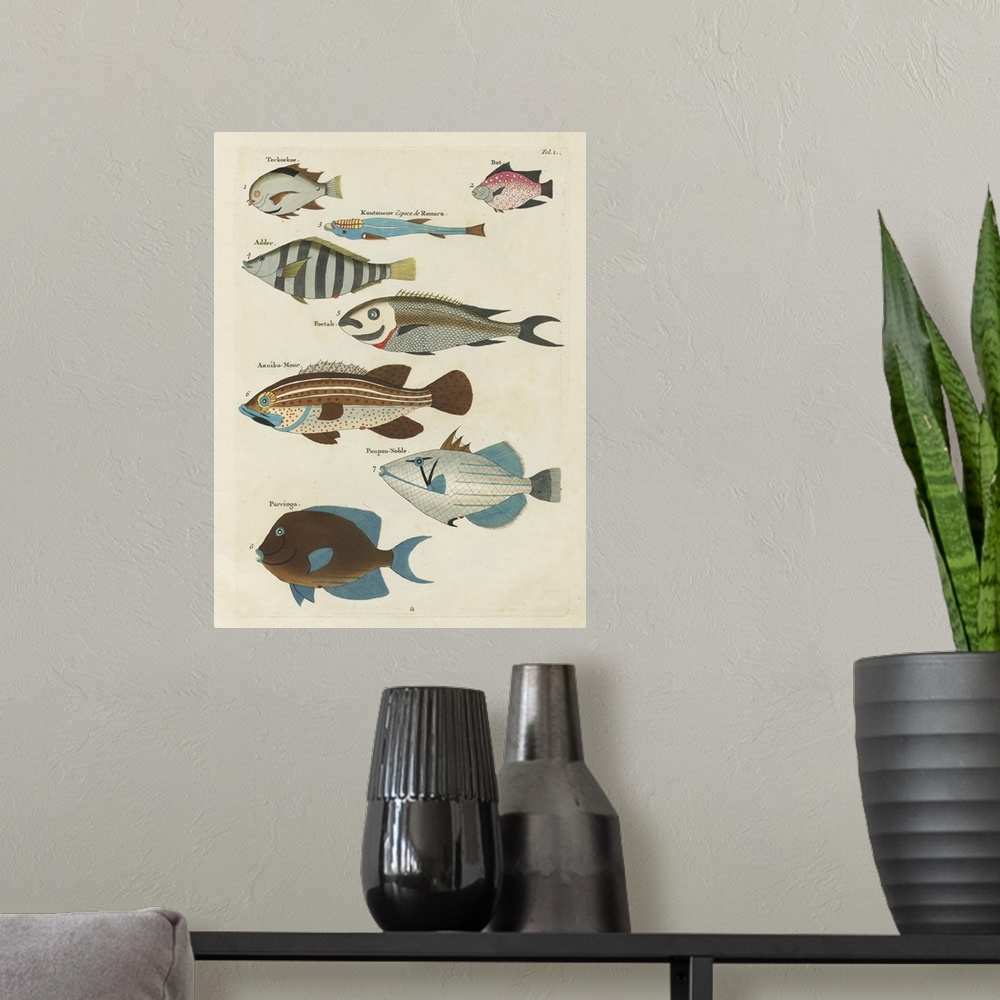 A modern room featuring Renard Tropical Fish V