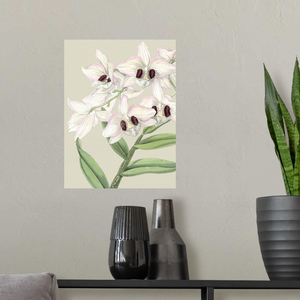 A modern room featuring Small Orchid Blooms II