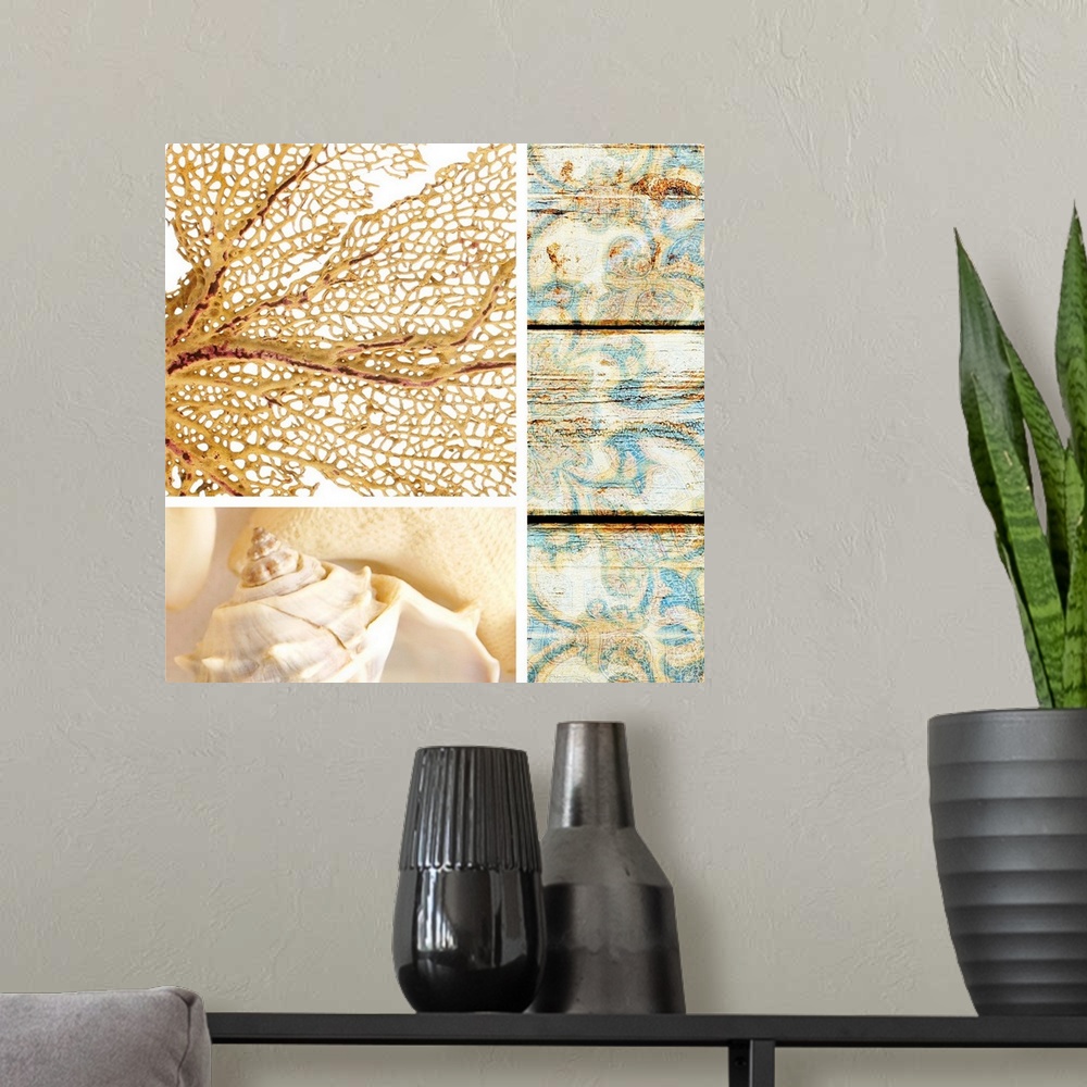 A modern room featuring A square collage of beach theme images including coral and shells.