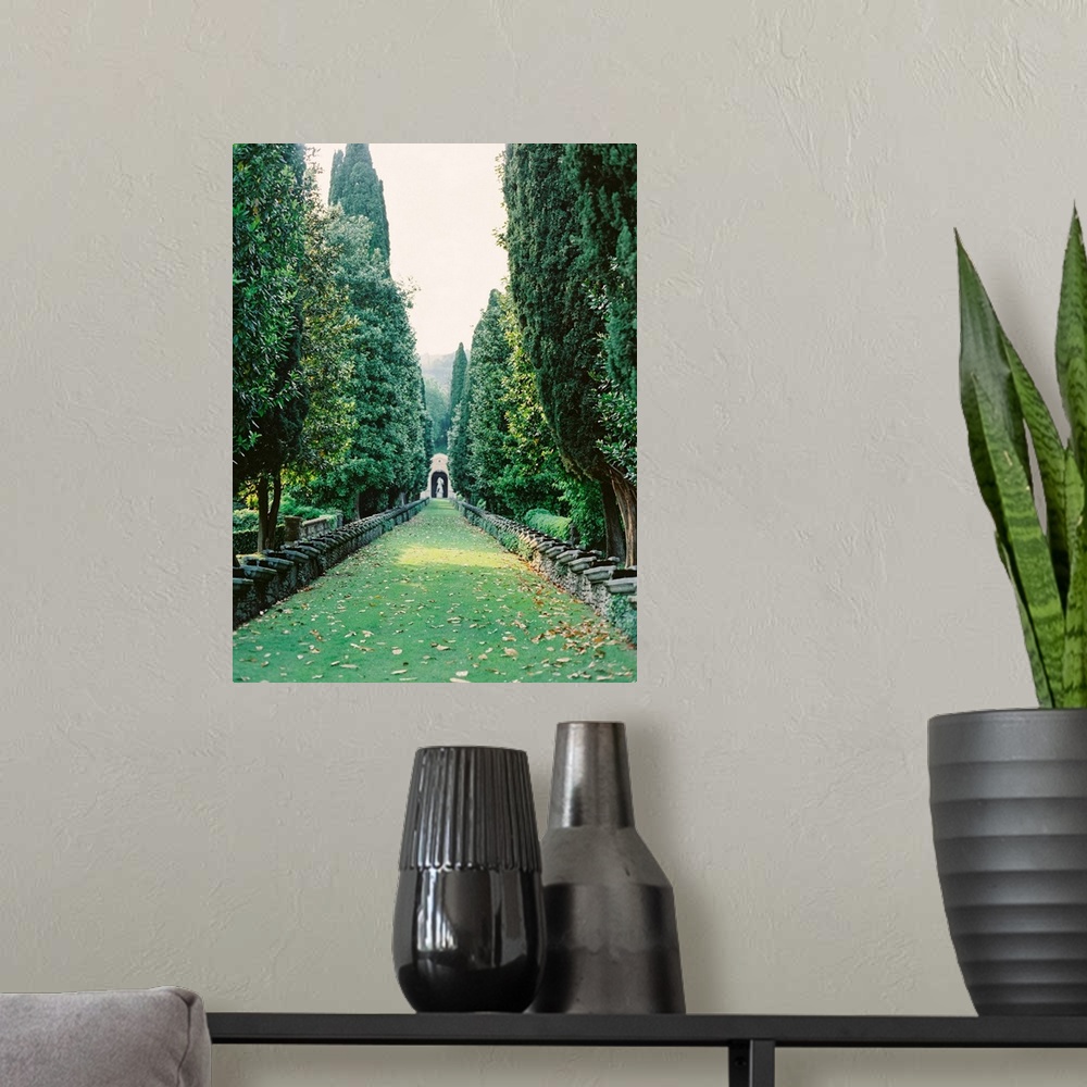 A modern room featuring Photograph taken between an avenue of tall trees with a statue at the far end, Lake Como, Italy.