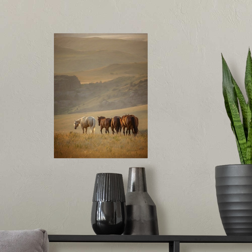 A modern room featuring Sunkissed Horses VI