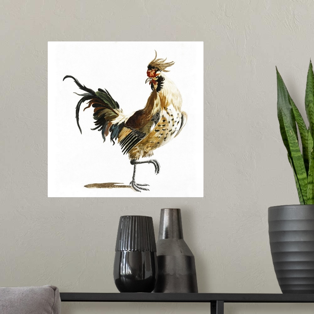 A modern room featuring Teyler Roosters I