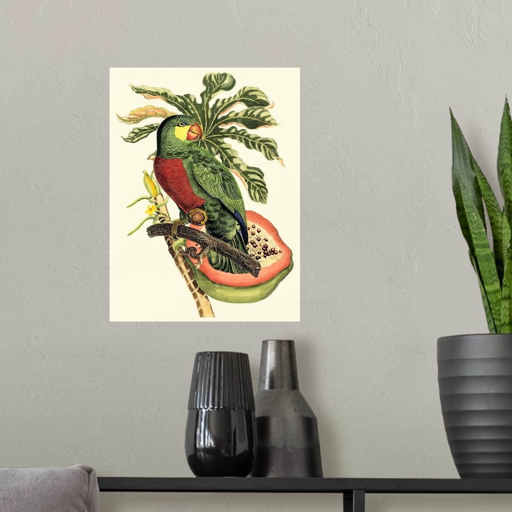 A modern room featuring Tropical Birds and Botanicals II