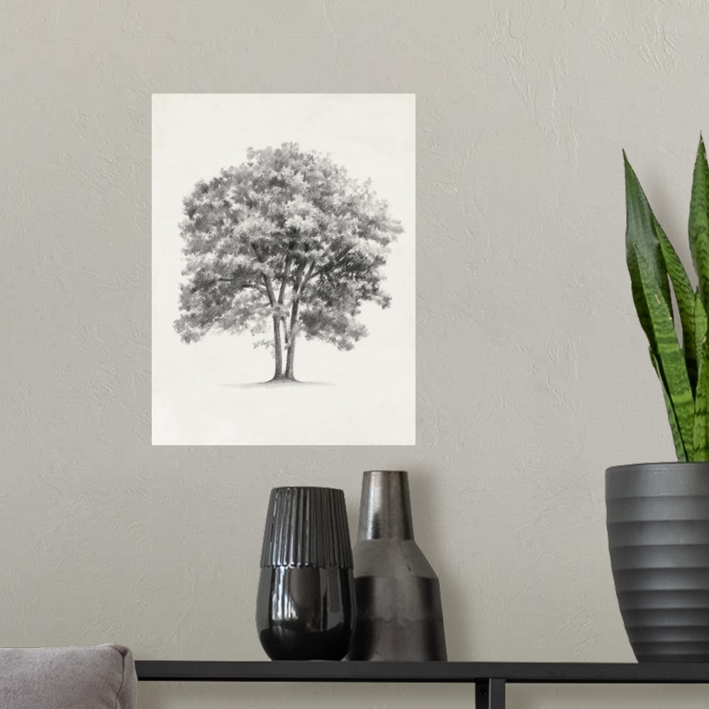 A modern room featuring Pencil drawing of a tree on a parchment background.