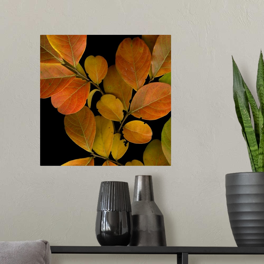 A modern room featuring Vivid Leaves I