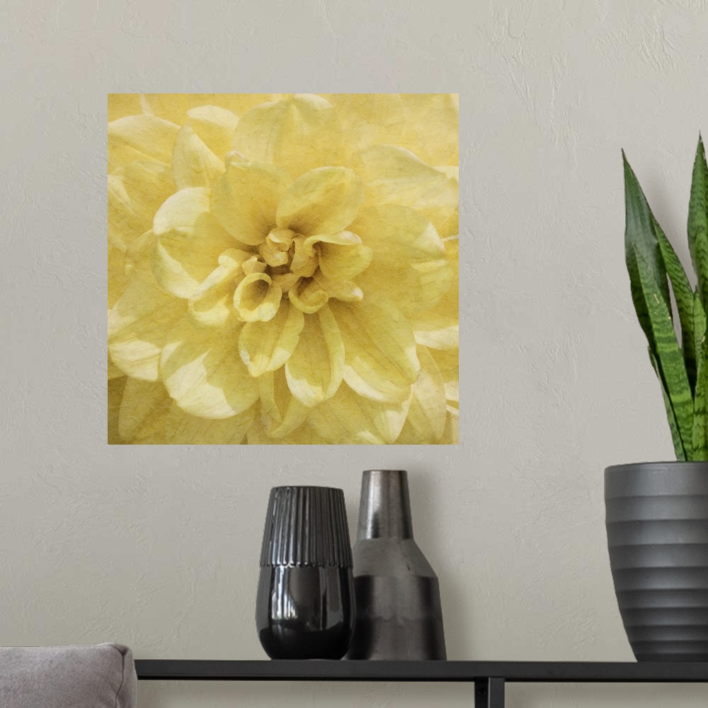 A modern room featuring Flowers in shades of yellow fill this decorative art edge to edge.