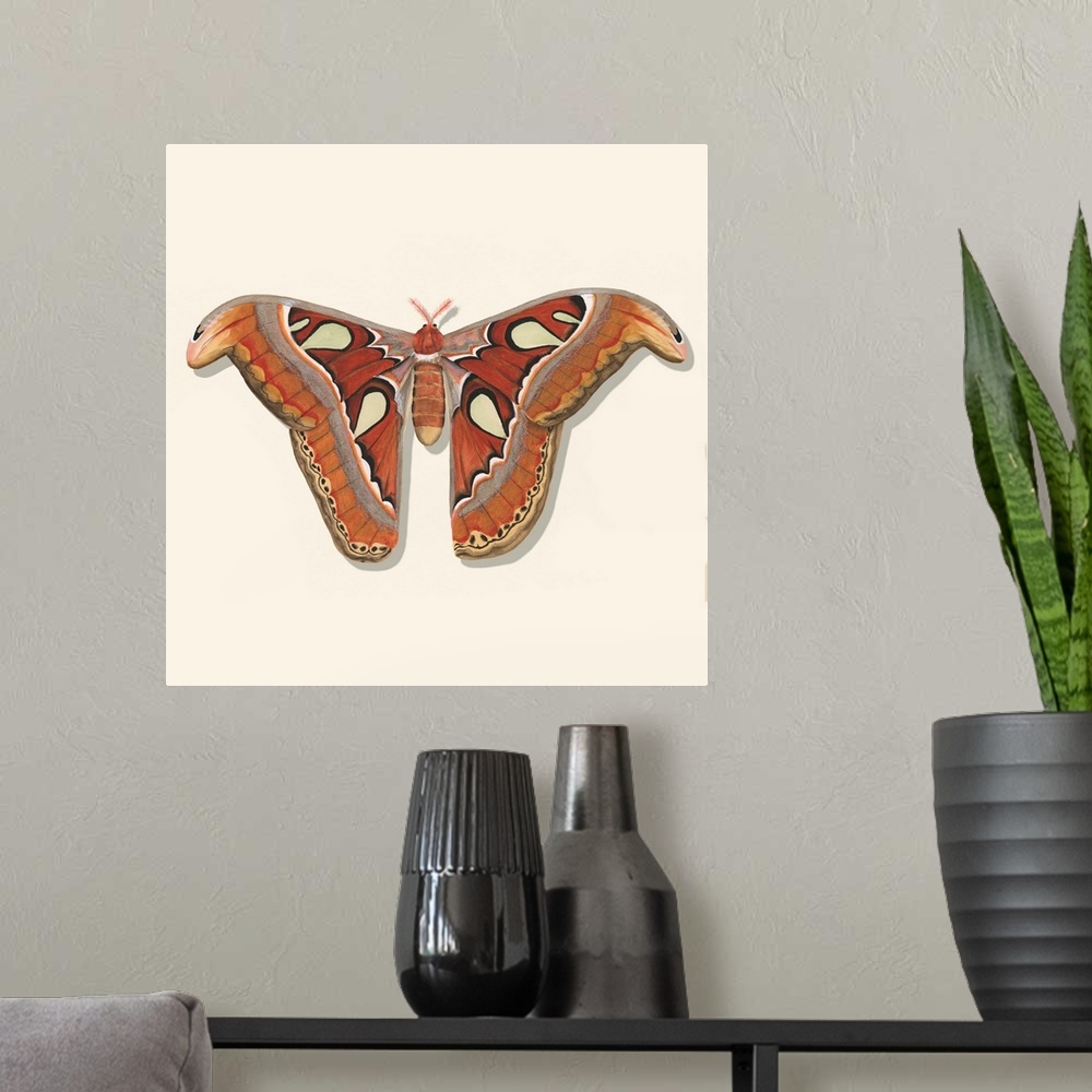 A modern room featuring Watercolor Moths II