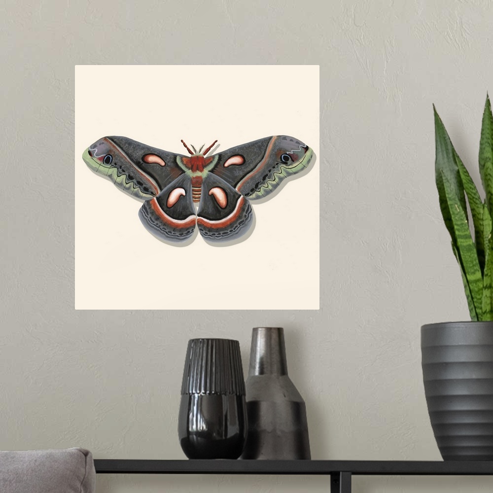 A modern room featuring Watercolor Moths III