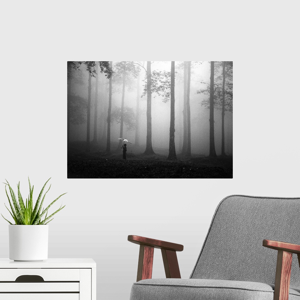 A modern room featuring A person holding an umbrella in a misty forest.