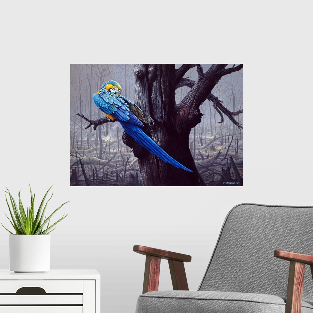 A modern room featuring Blue And Yellow Macaw In Burned Forest