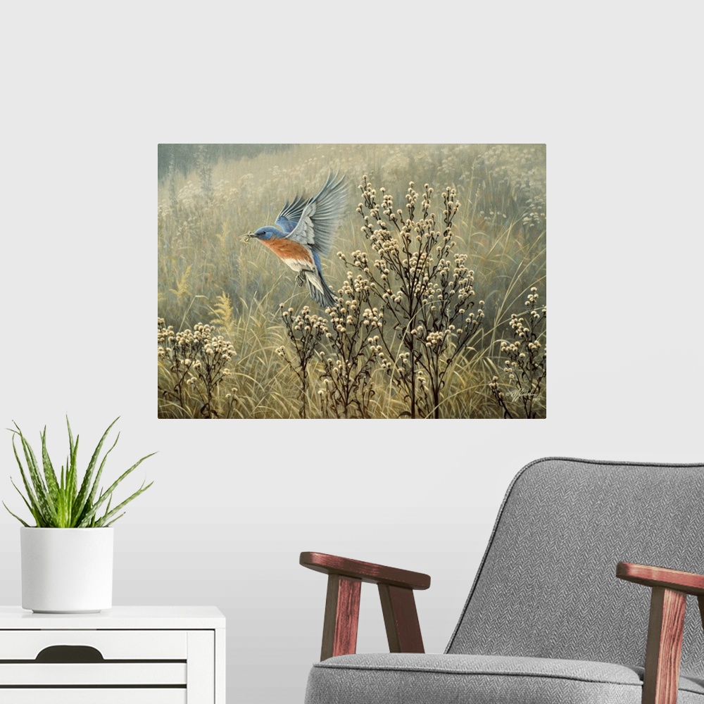 A modern room featuring Eastern bluebird flying over a meadow.