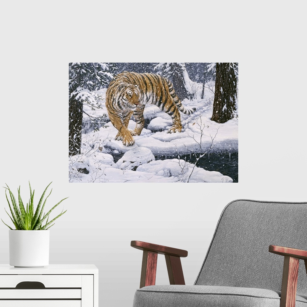 A modern room featuring Siberian tiger in the snowy woods