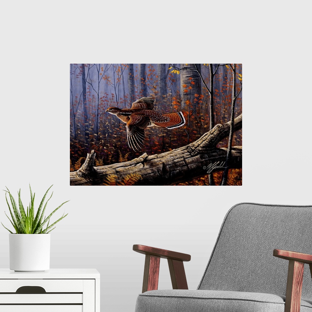 A modern room featuring A ruffed grouse in flight through the fall trees.