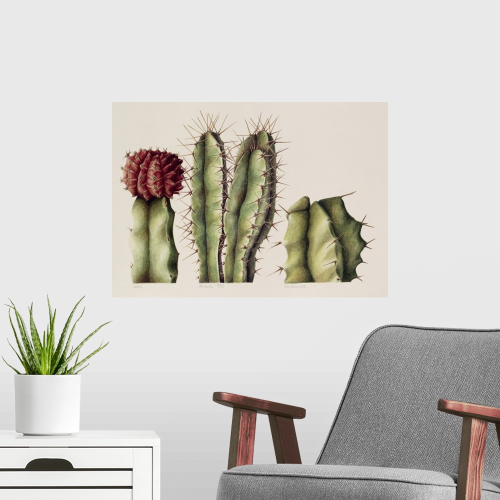 A modern room featuring ABA128196 Cacti, 1999 (w/c on paper); by Barrett, Annabel (Contemporary Artist); watercolour on p...