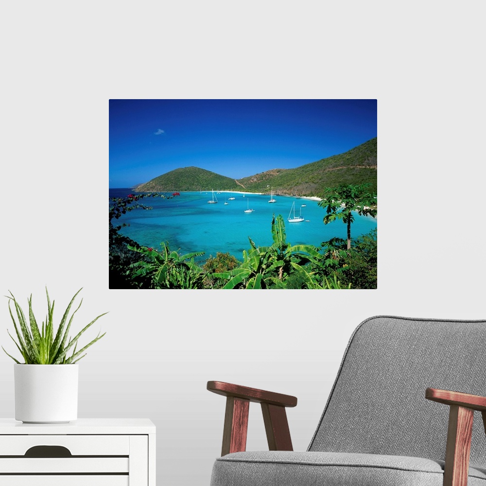 A modern room featuring British Virgin Islands, Jost Van Dyke Island, White Bay and papaia
