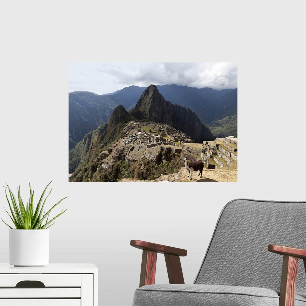 A modern room featuring Peru, Cuzco, Machu Picchu, Llama at the Inca fortress
