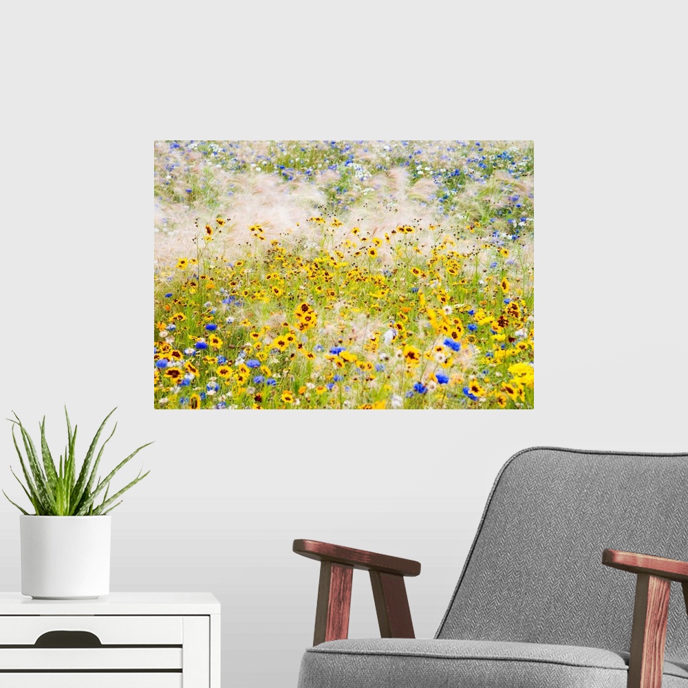 A modern room featuring Wildflowers, London, UK