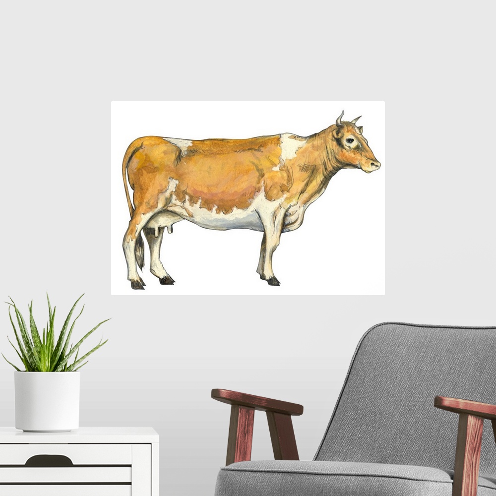 A modern room featuring Dairy Cattle (Bos Taurus)