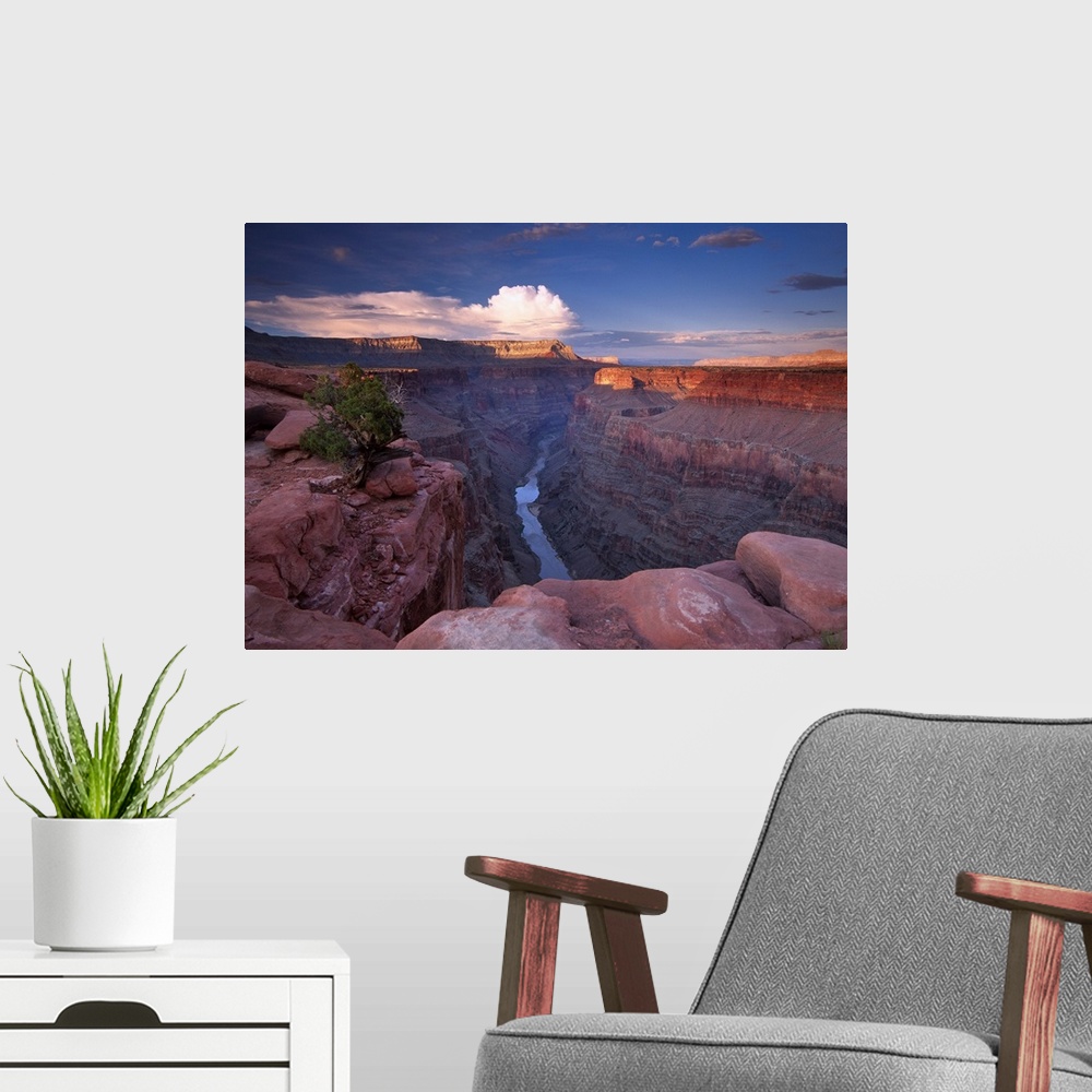 A modern room featuring Colorado River from Toroweap Overlook, Grand Canyon National Park, Arizona