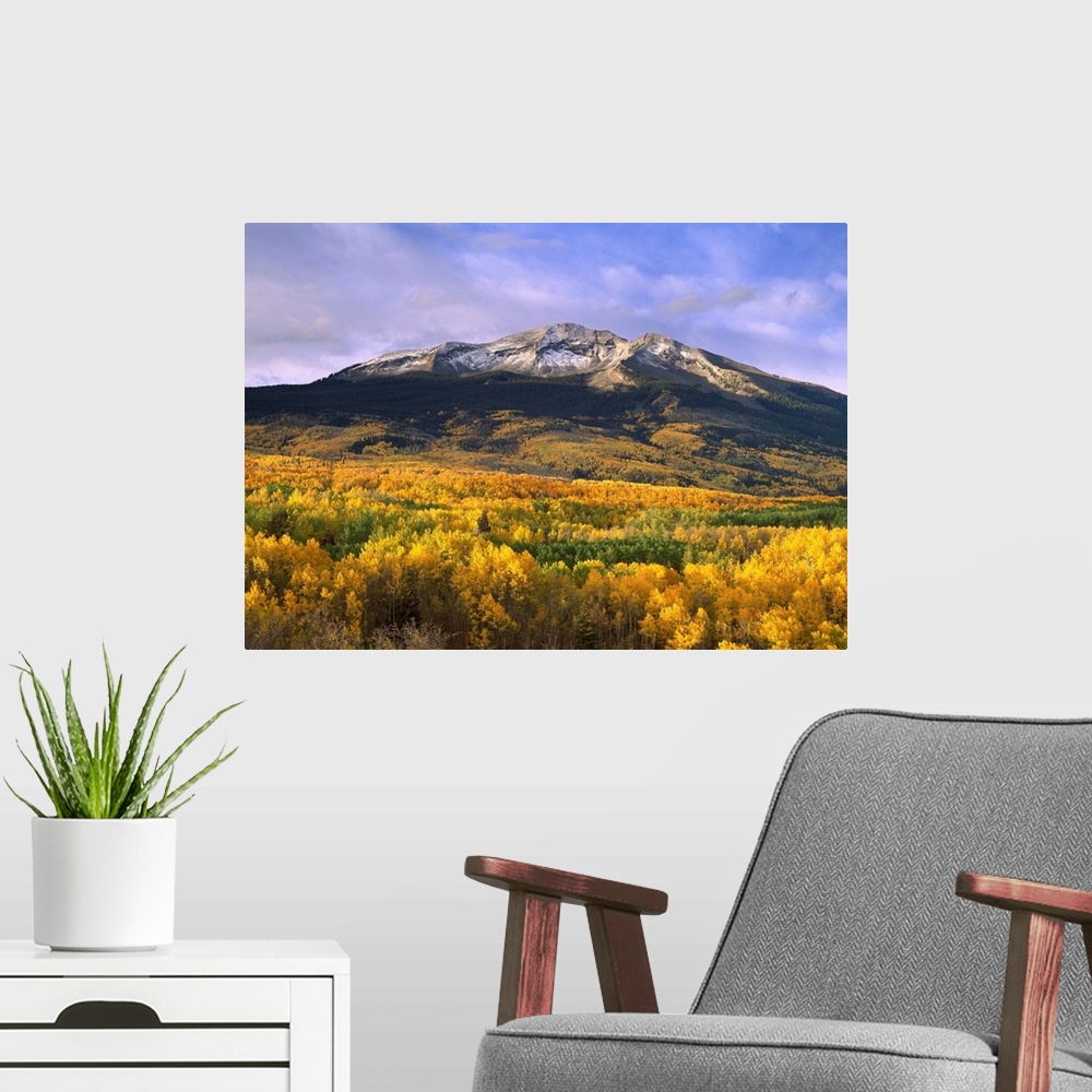 A modern room featuring East Beckwith Mountain and trees in fall color, Gunnison National Forest, Colorado