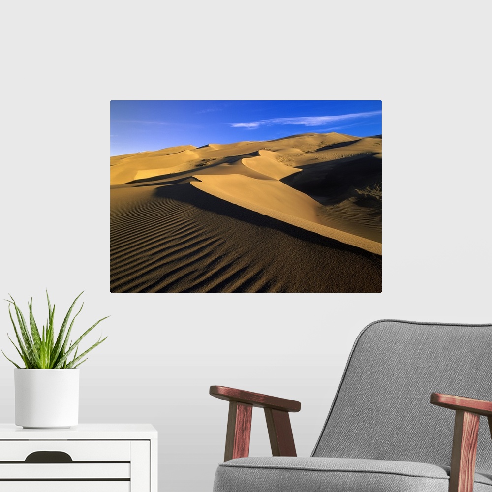 A modern room featuring Great Sand Dunes National Monument, Colorado