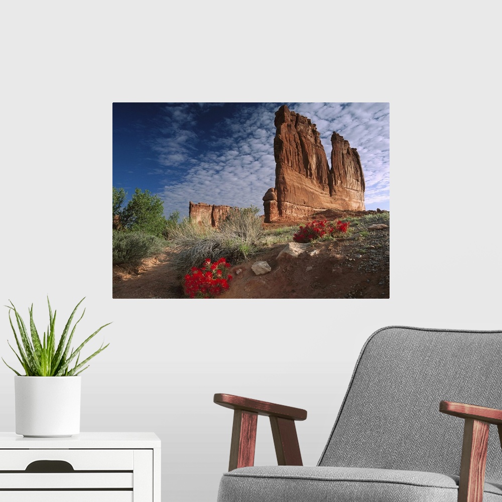 A modern room featuring Paintbrush (Castilleja sp) and the Organ Rock, Arches National Park, Utah
