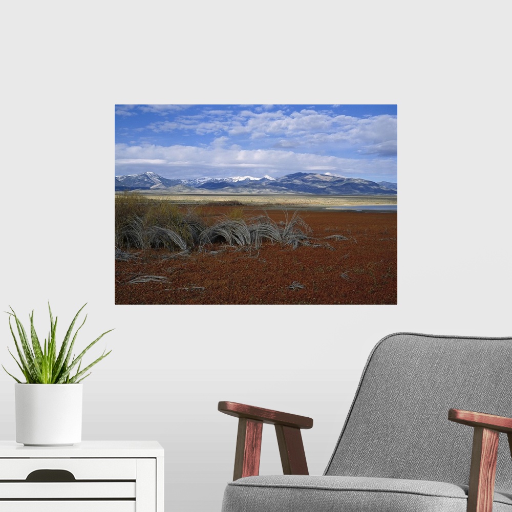 A modern room featuring Nevada, Great Basin National Park