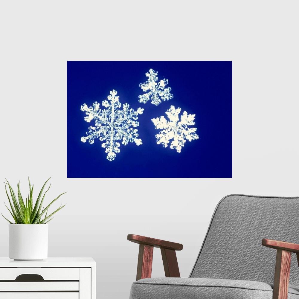 A modern room featuring Snowflakes