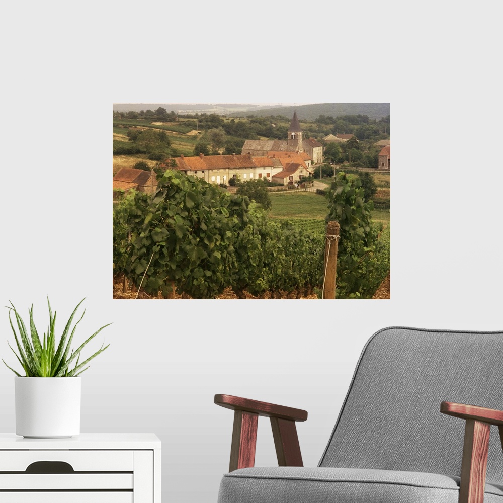 A modern room featuring Maconnais vineyards, Poilly Fuisse, Ozenay, Saone-et-Loire, Burgundy, France