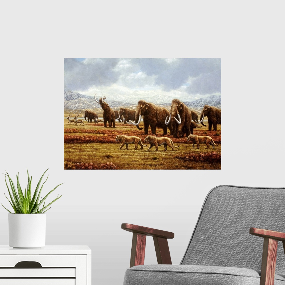 A modern room featuring Woolly mammoths. Artist's impression of a herd of woolly mammoths (Mammuthus sp.) during the peak...