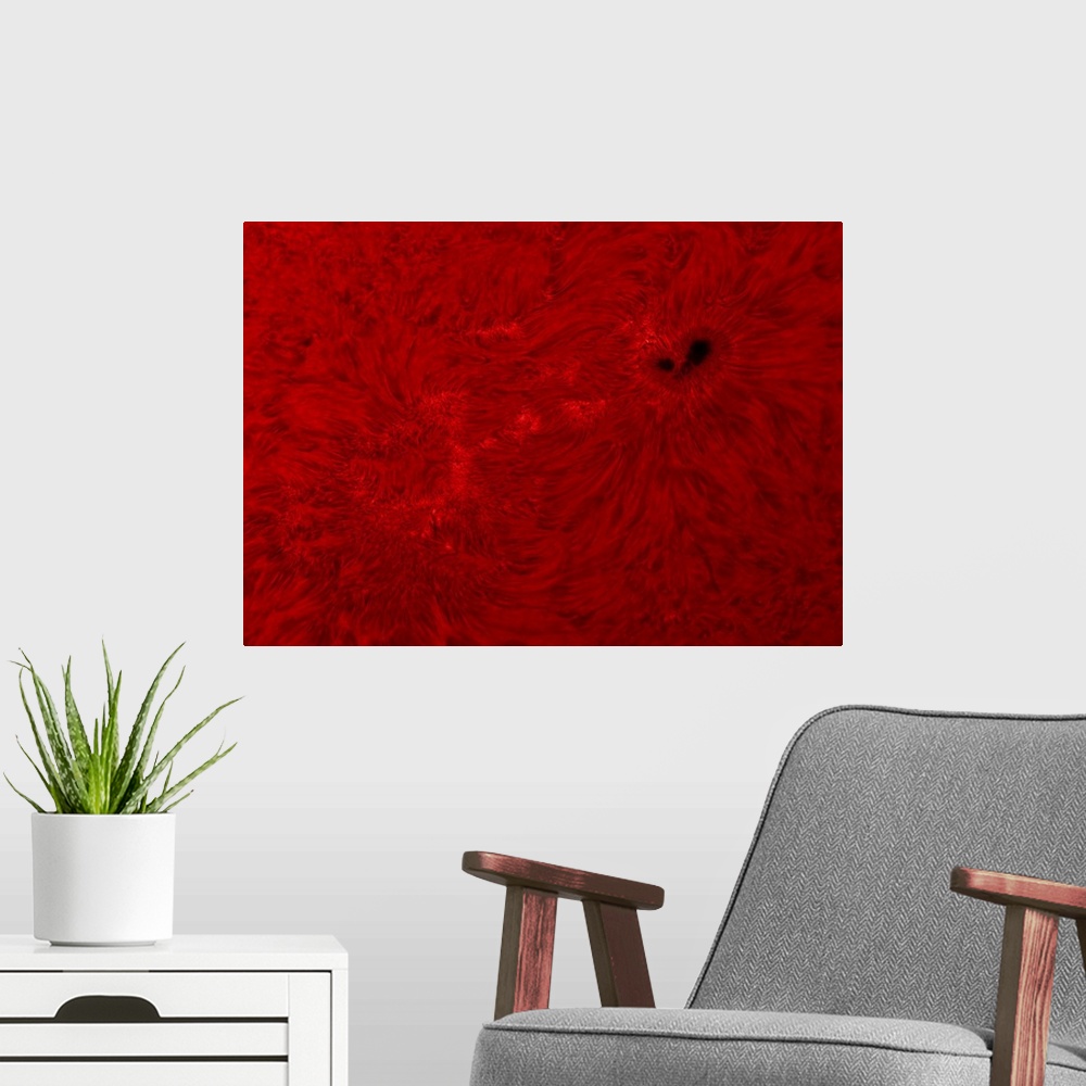 A modern room featuring H-alpha Sun in red with sunspot.