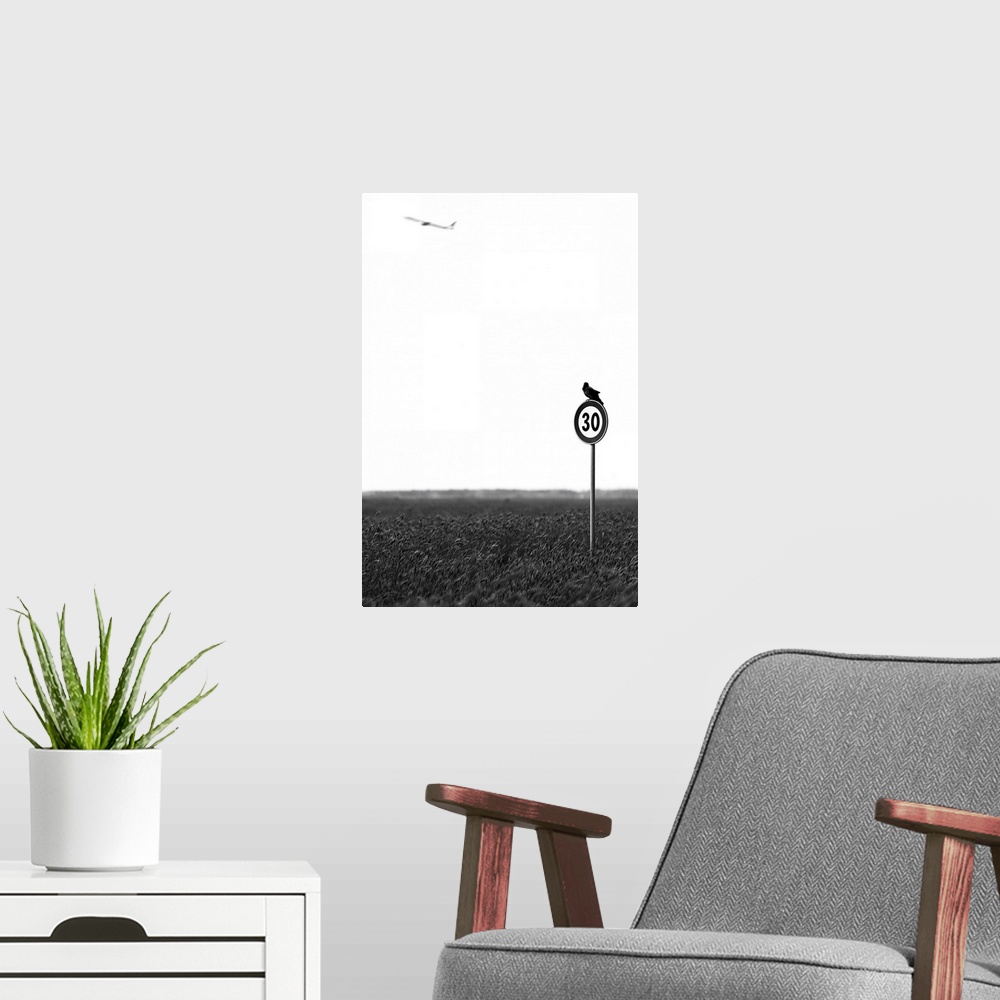 A modern room featuring A bird sitting on a speed limit sign in a wheat field looks up at a distant plane.