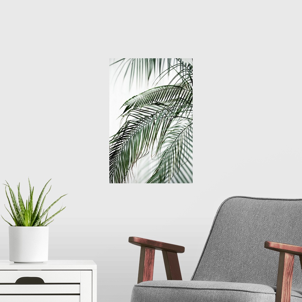 A modern room featuring Palm Leaves 21