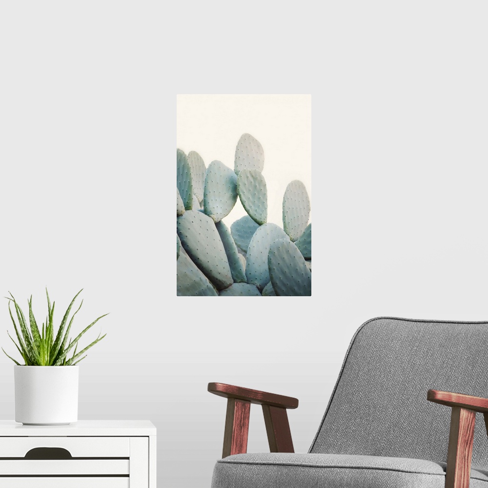 A modern room featuring Pastel Cacti