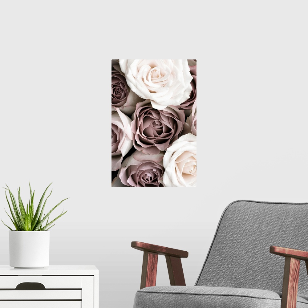 A modern room featuring Roses