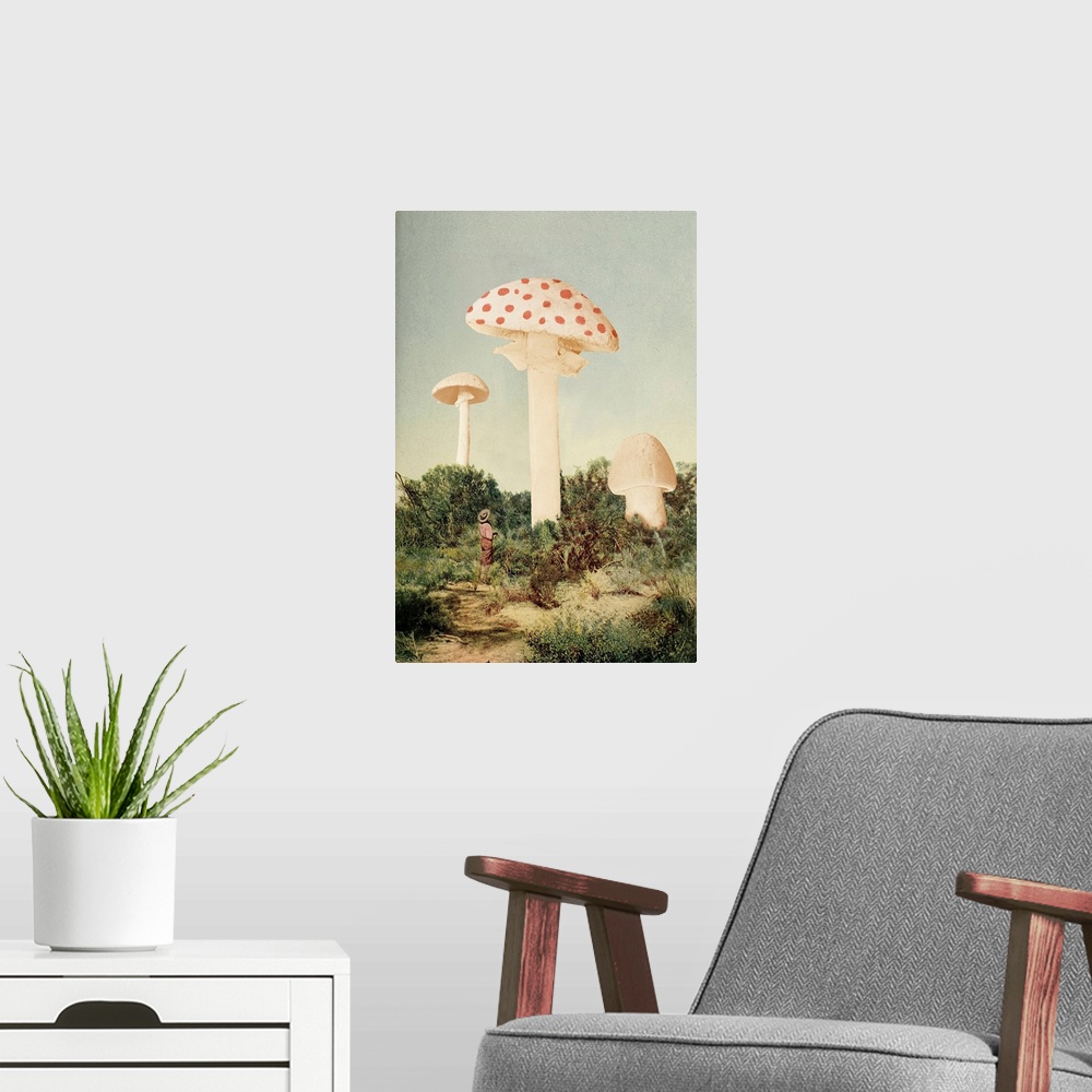 A modern room featuring The Finest Giant Mushroom