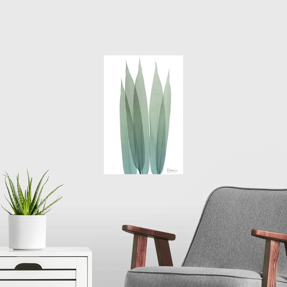A modern room featuring X-ray style photo of five overlapping bamboo leaves.