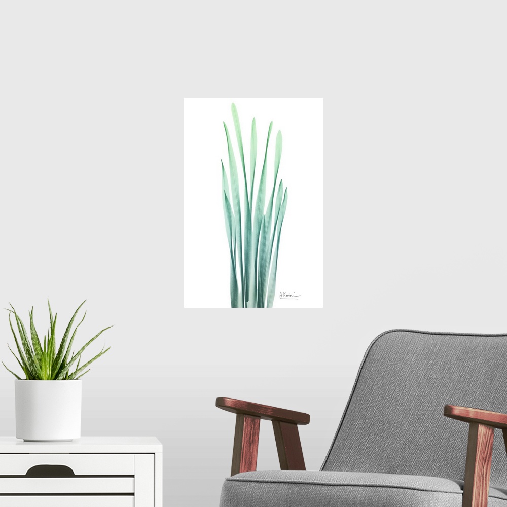 A modern room featuring X-ray style photo of overlapping hyacinth leaves.