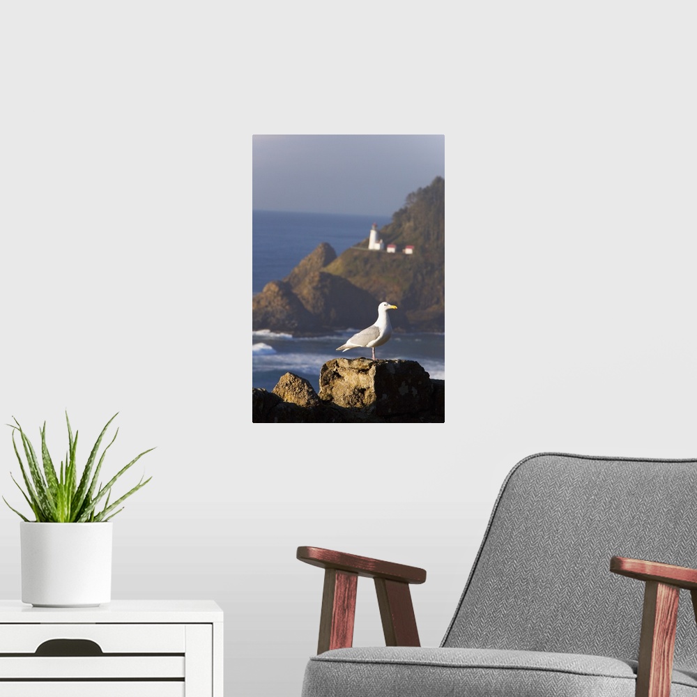 A modern room featuring A Bird Sitting On A Rock Near Heceta Head Lighthouse, Oregon