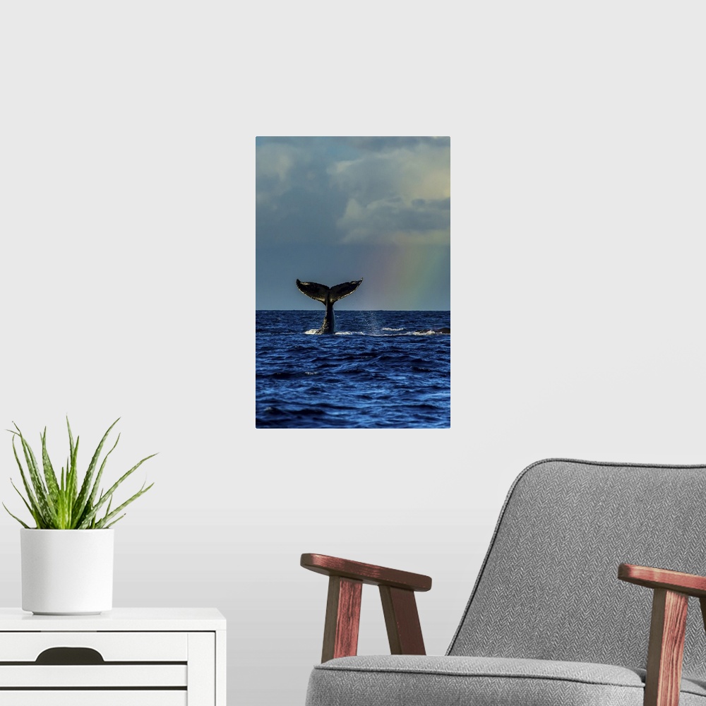 A modern room featuring A humpback whale fluke next to a rainbow in the Pacific Ocean.