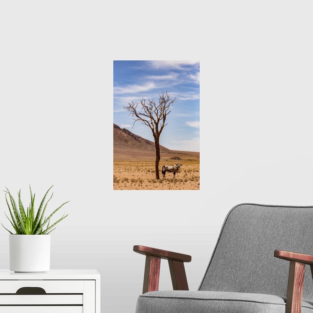 A modern room featuring An antelope stands under a tree in the desert; Sossusvlei, Hardap Region, Namibia