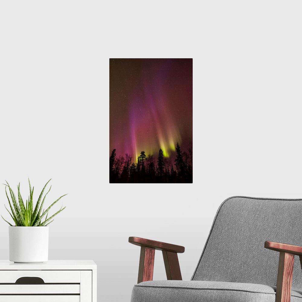 A modern room featuring Aurora borealis over trees; Thunder Bay, Ontario, Canada