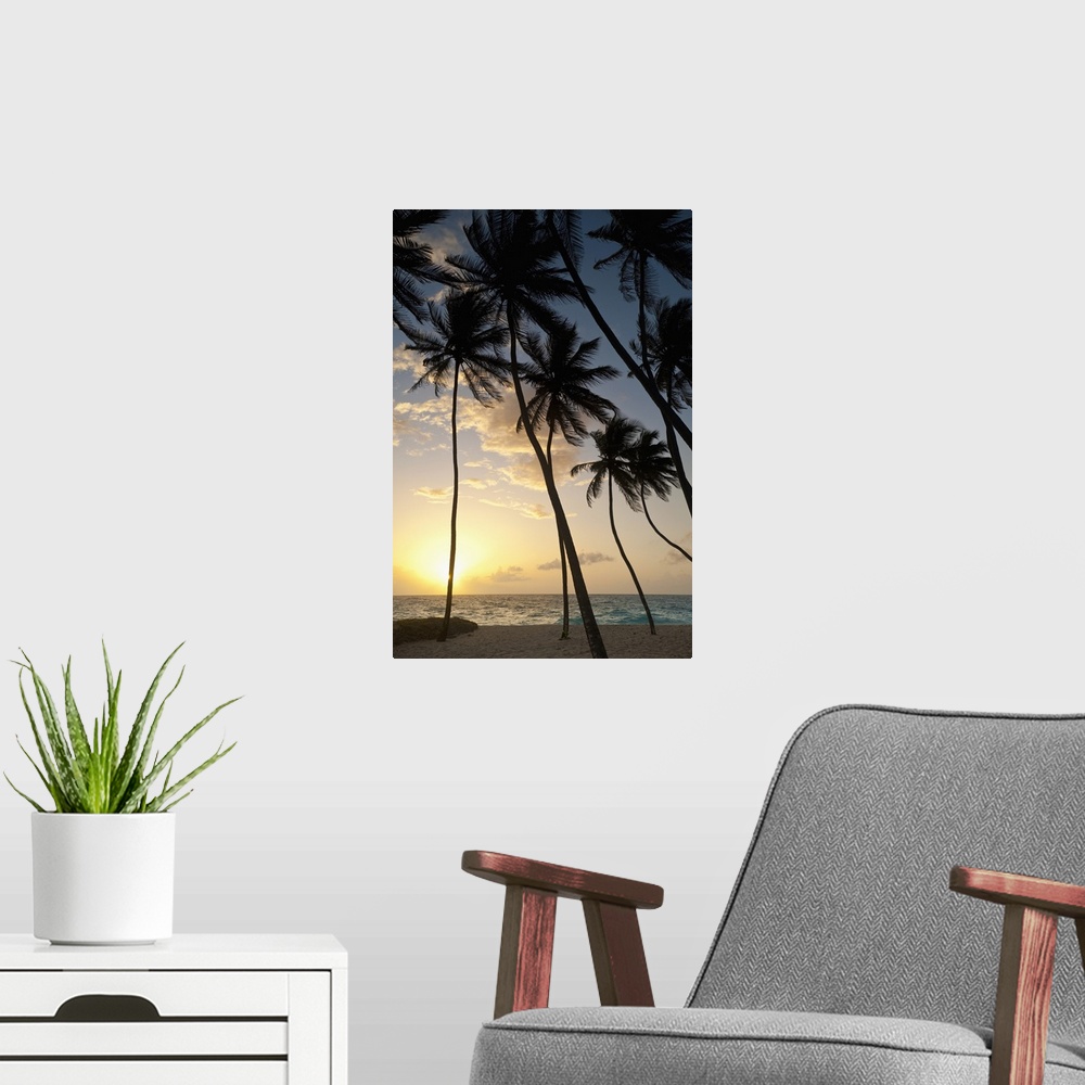 A modern room featuring Barbados, Silhouette of palm trees at dawn, Bottom Bay