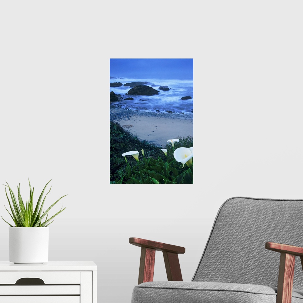 A modern room featuring California, Pescadero, Calla Lilies Along Coastline, Beach And Ocean In Background