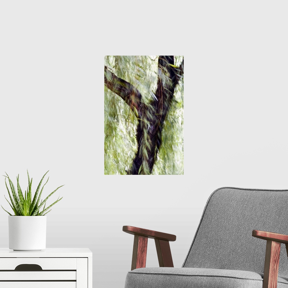 A modern room featuring China, Beijing, Impressionistic Wind Blown Tree