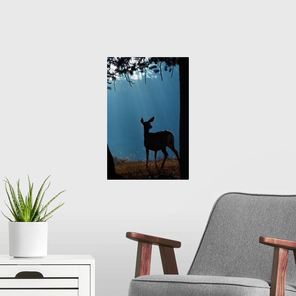 A modern room featuring Deer In A Forest