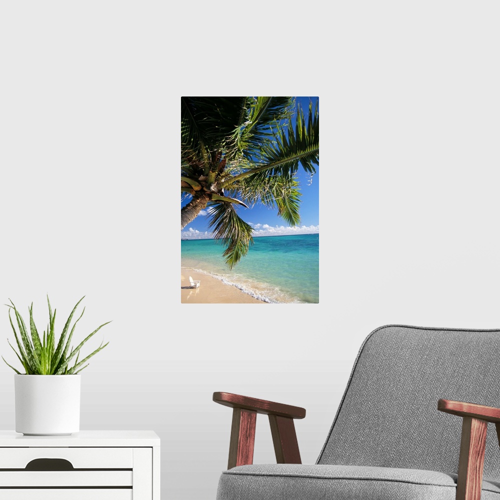 A modern room featuring Distant View Of White Beach Chair In Shoreline Waters With Palm Tree