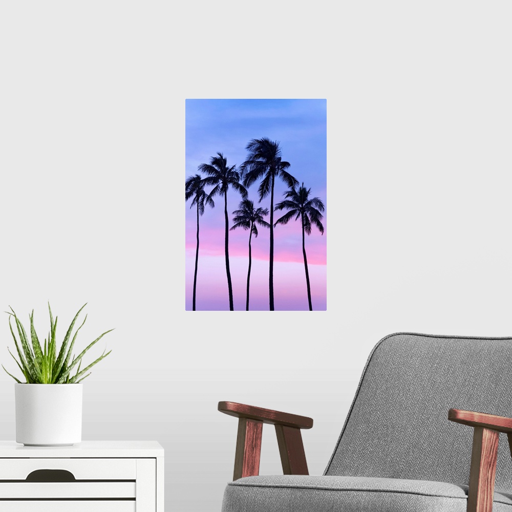 A modern room featuring Five coconut palm trees in line with cotton candy sunset behind; Honolulu, Oahu, Hawaii, United S...