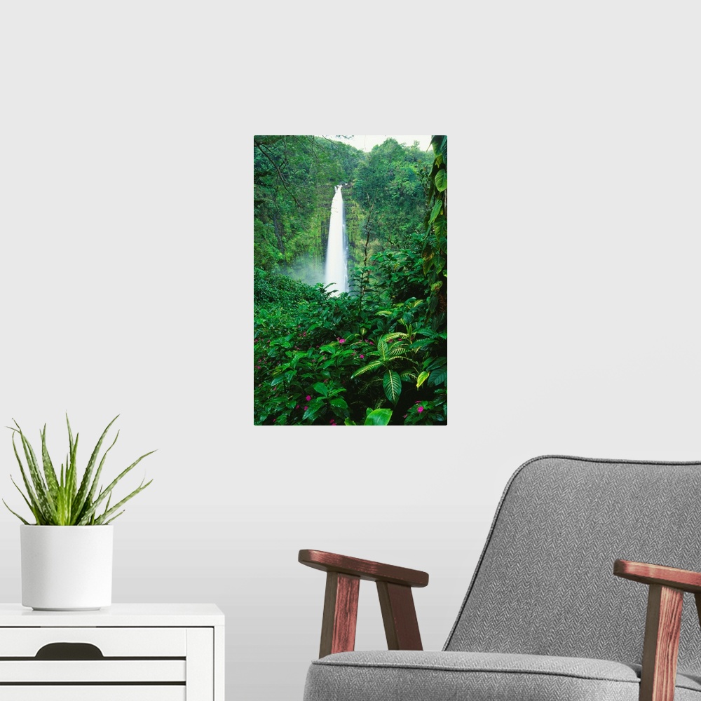 A modern room featuring Hawaii, Big Island, Akaka Falls View Through Lush Greenery, Impatiens In Foreground